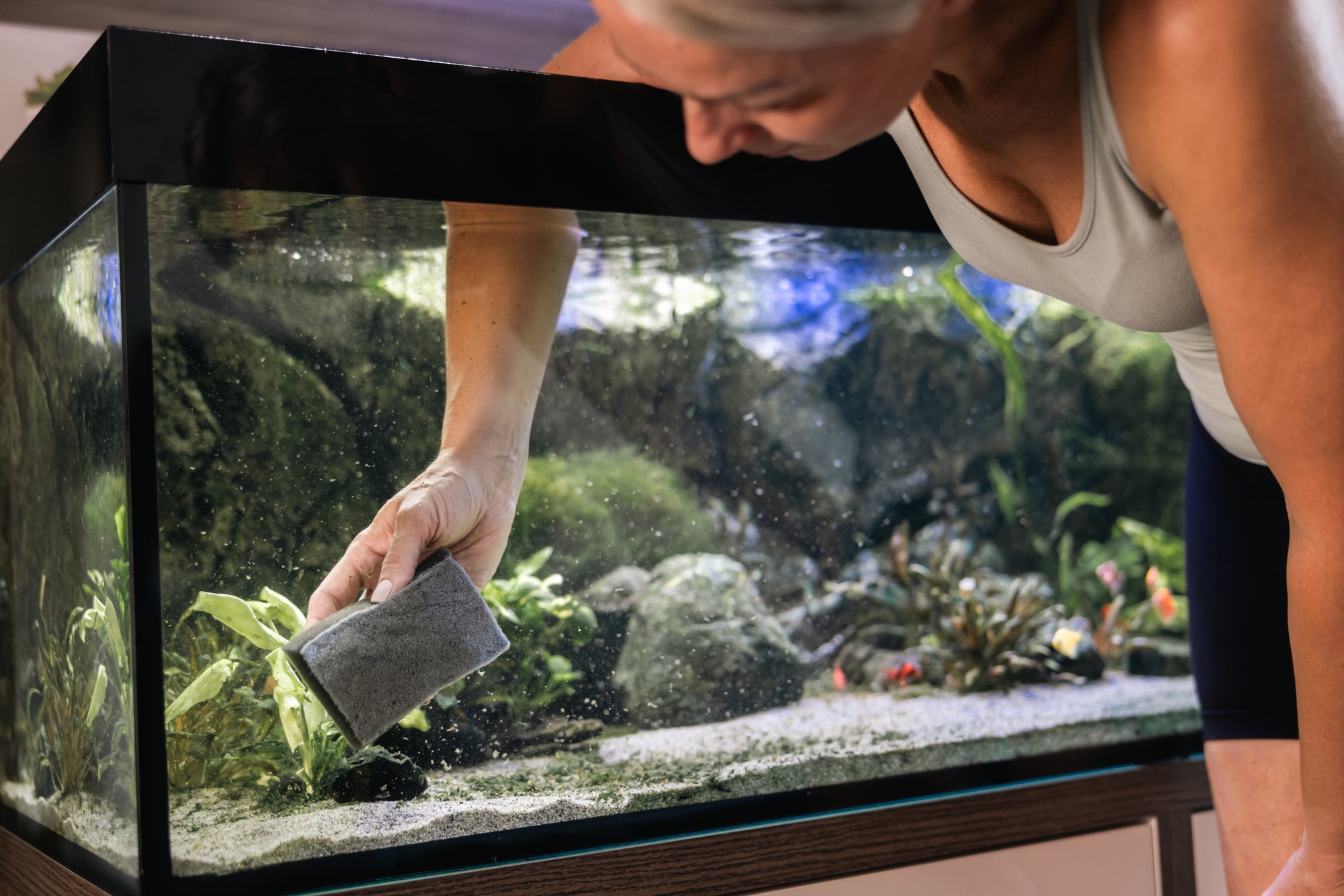 Kalkrand an einer Aquariumscheibe entfernen